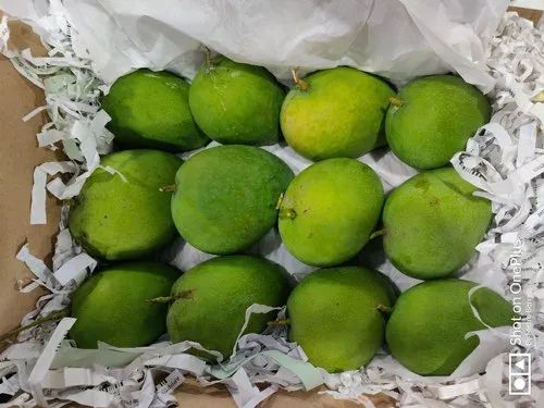 Badami Mango